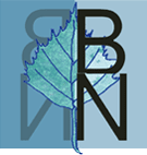logo BN de couleur bleue