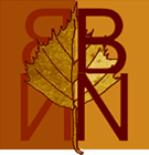 logo BN de couleur orange