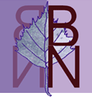 logo bn de couleur violette