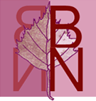 logo BN de couleur rose